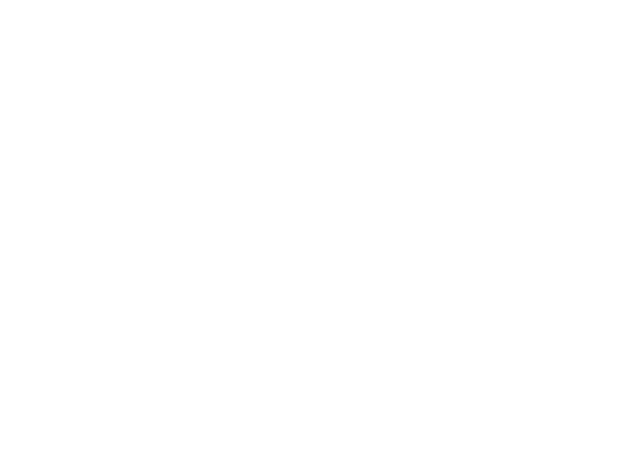 RYZYN